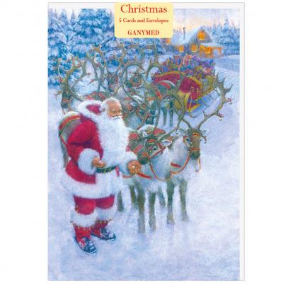 Christian Birmingham - The Raindeer’s Reward - 739988259260